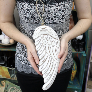 Ala de Ángel 30cm