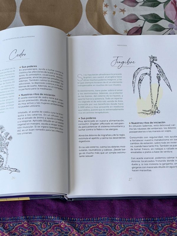 Bruja Moderna - Imagen 2