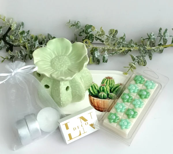 Estuche Encantado Cactus — Quemador de Aromas y Fondant Menta-Albahaca
