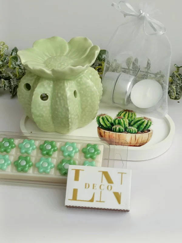 Estuche Encantado Cactus — Quemador de Aromas y Fondant Menta-Albahaca - Imagen 6