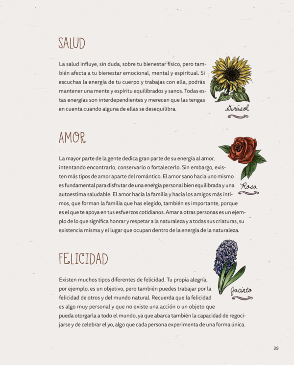 Libro La Bruja Verde - Imagen 3